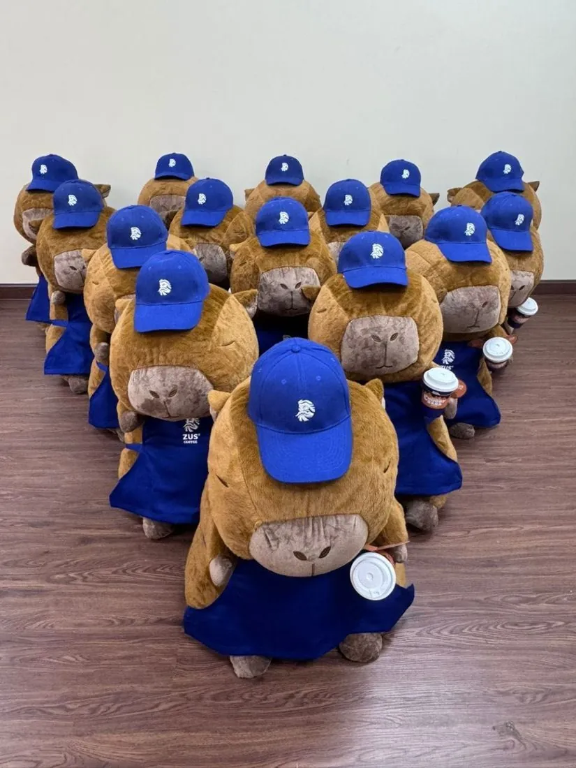 Bulk order of ZUS Coffee capybara plushies