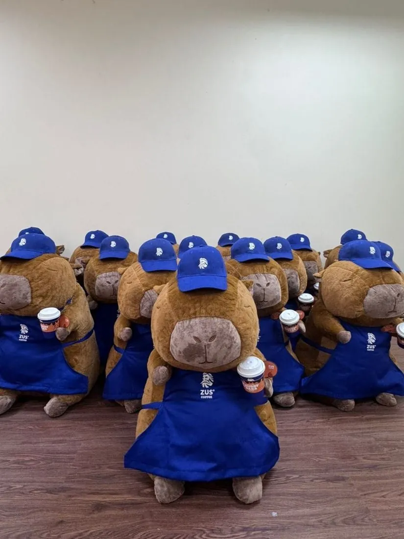 ZUS Coffee branded capybara plushies with cap and apron